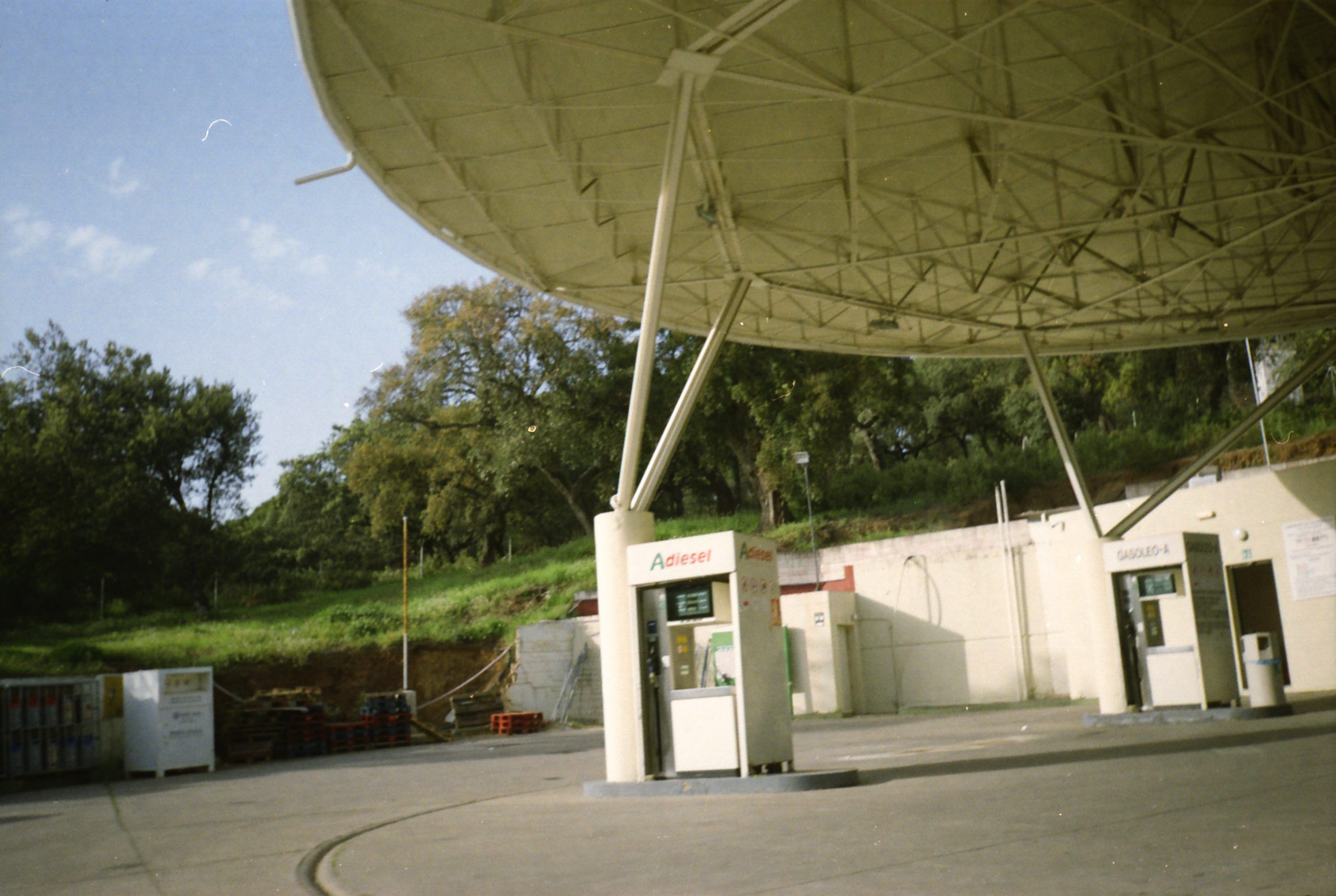 Amigos y Sierra Morena