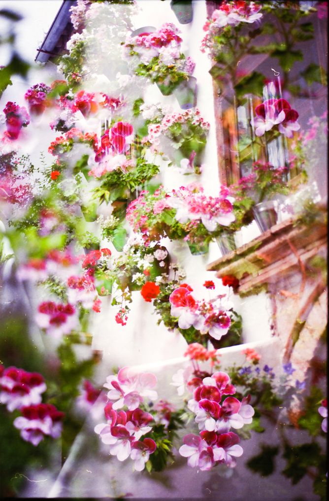 09-AGFA-VISTA-400-Mayo-2018---Varios_20180517_0027