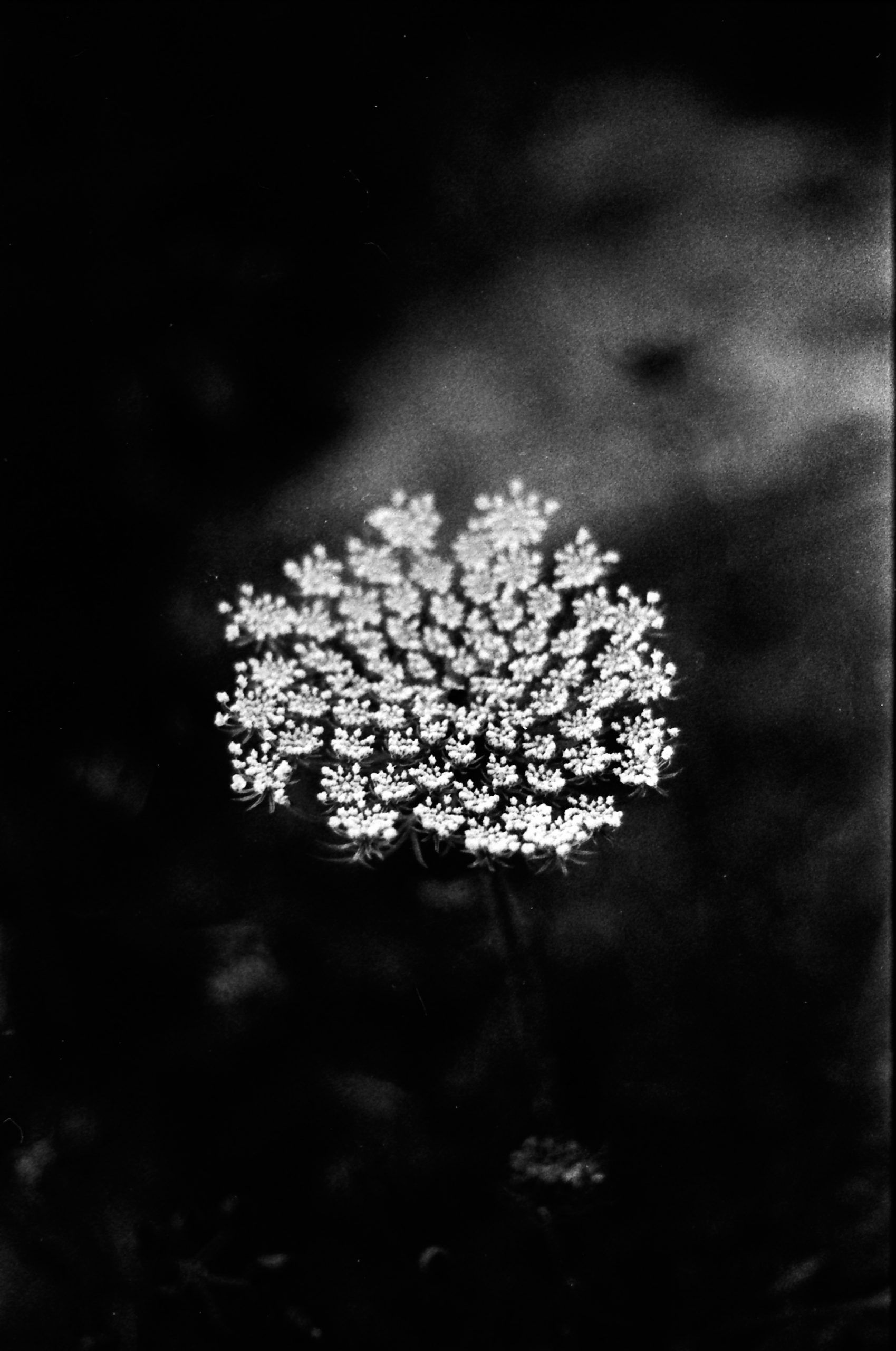 Recuerdos en blanco y negro